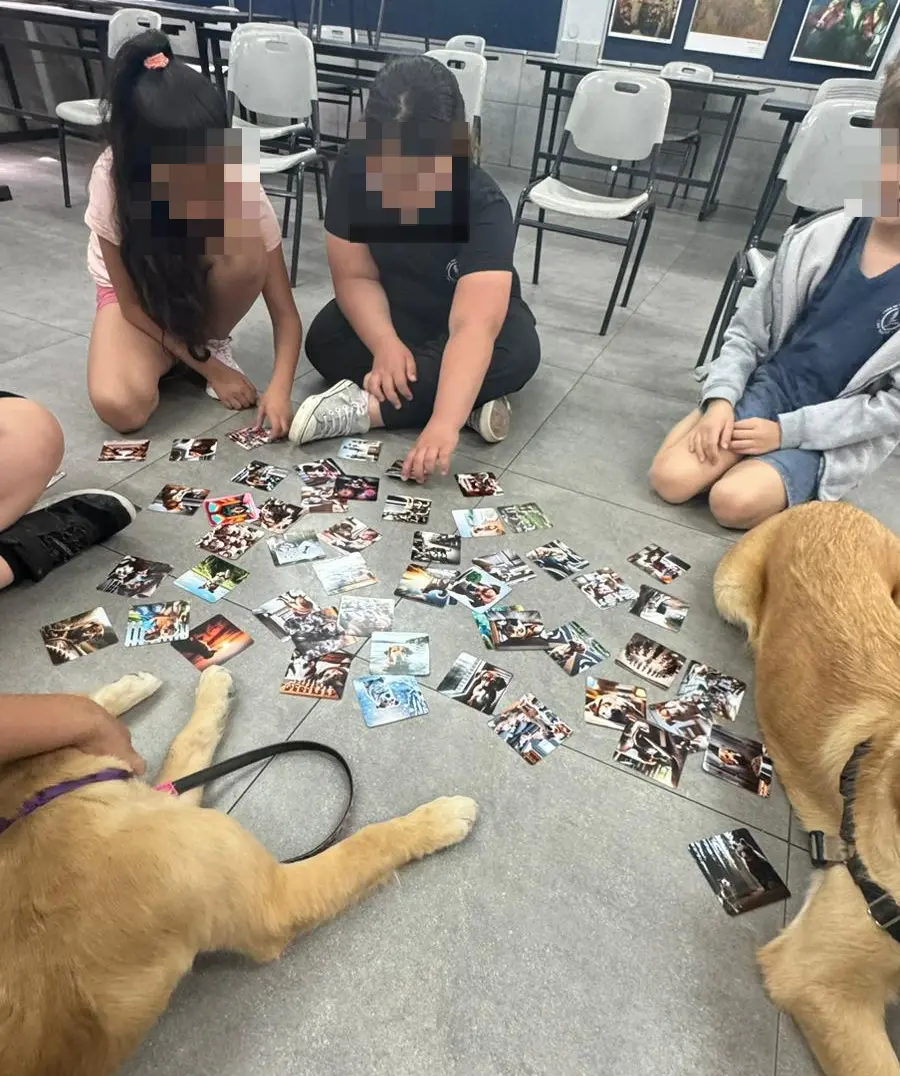 רגשות מעורבים